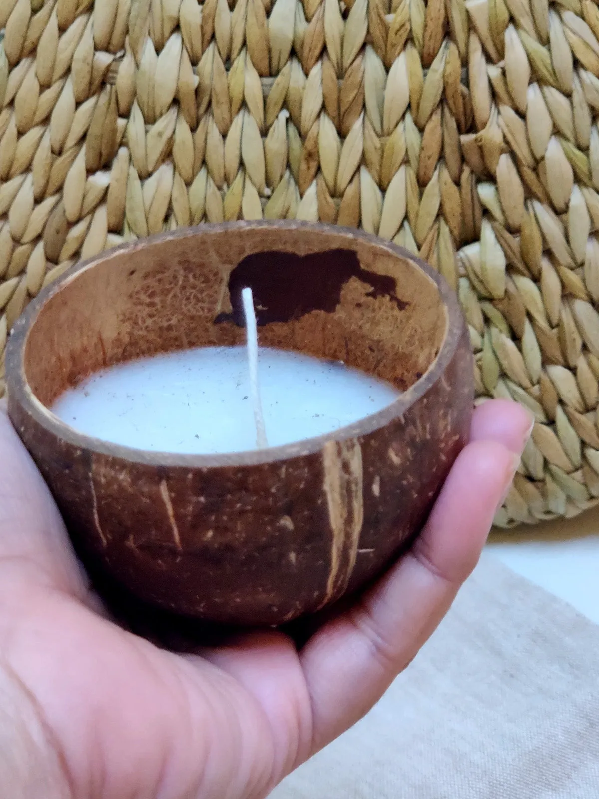 Coconut Shell Soy Wax Candles Pack Of 2