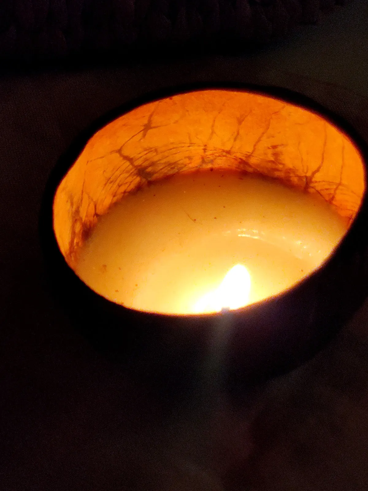 Coconut Shell Soy Wax Candles Pack Of 2