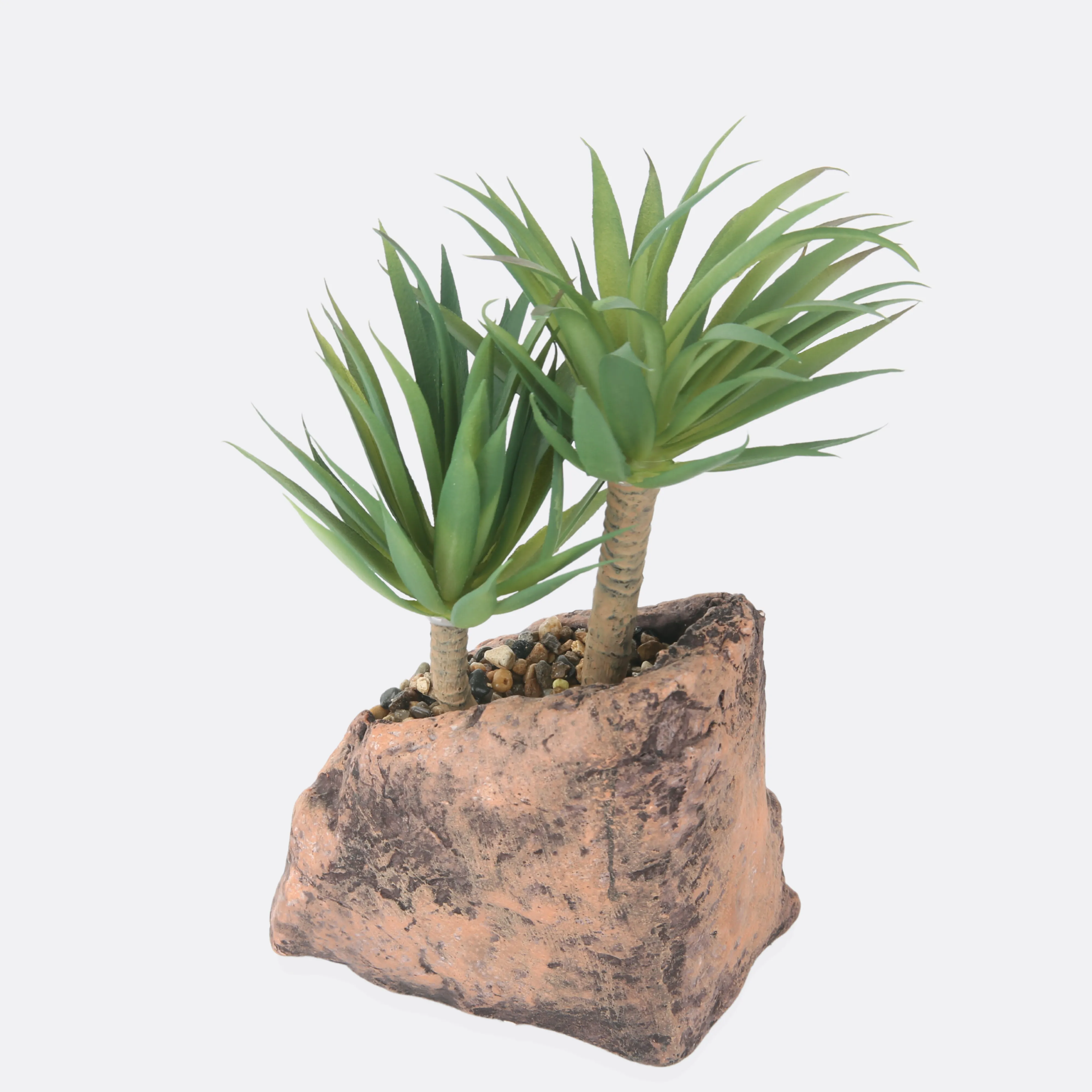 Palm Succulent Plant With Stone Base