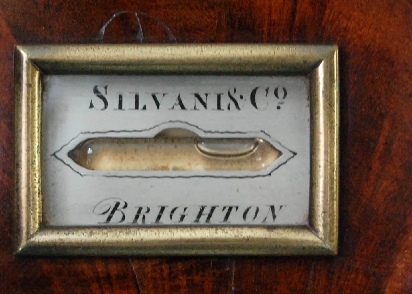 Rare William IV Period 6" Dial Mahogany Wheel Barometer by Silvani & Co Brighton